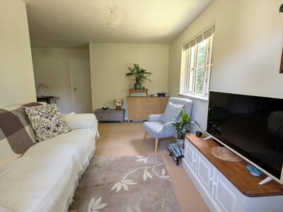 Picture 7